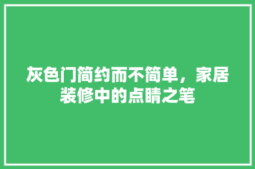 灰色门简约而不简单，家居装修中的点睛之笔  第1张